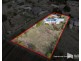 21 Grandview Drive, South Spreyton TAS 7310