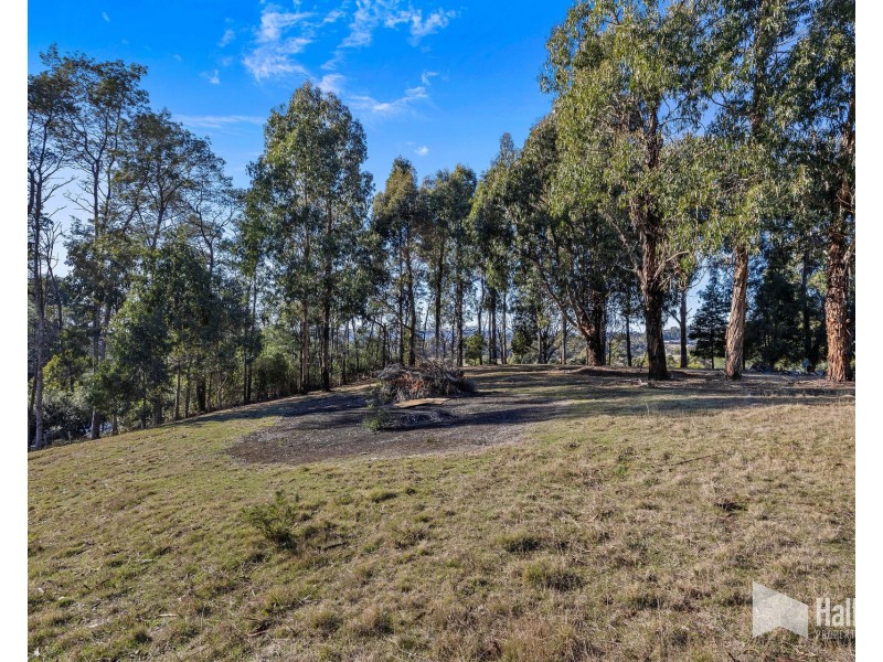 108 Clayton Drive, Spreyton TAS 7310
