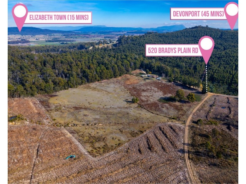 520 Bradys Plain Road, Parkham TAS 7304