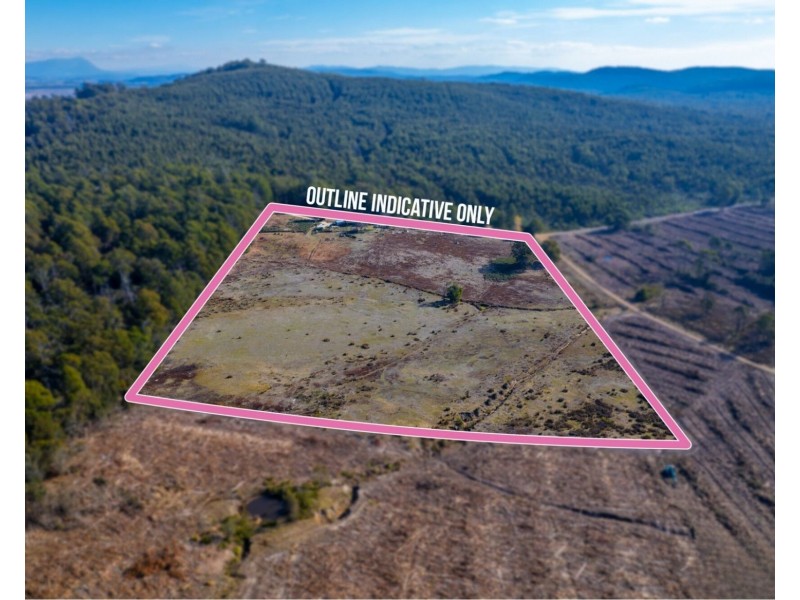 520 Bradys Plain Road, Parkham TAS 7304