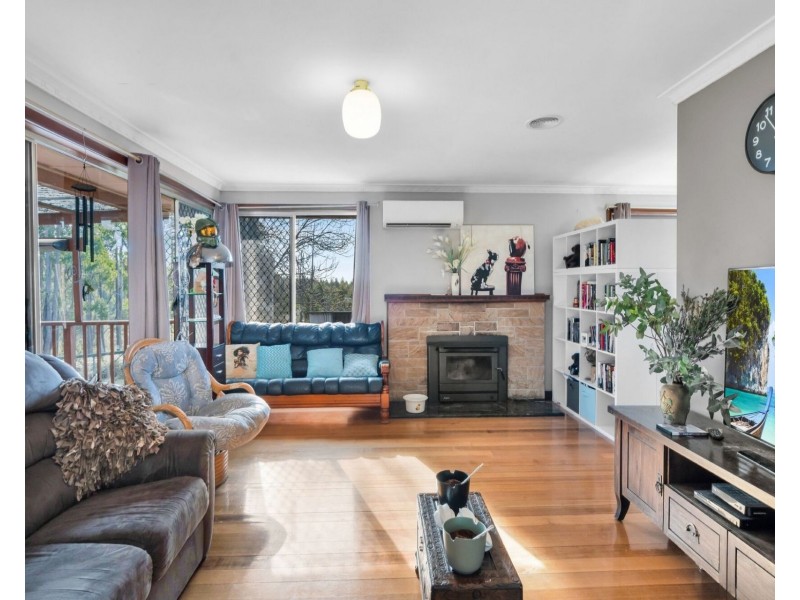 520 Bradys Plain Road, Parkham TAS 7304