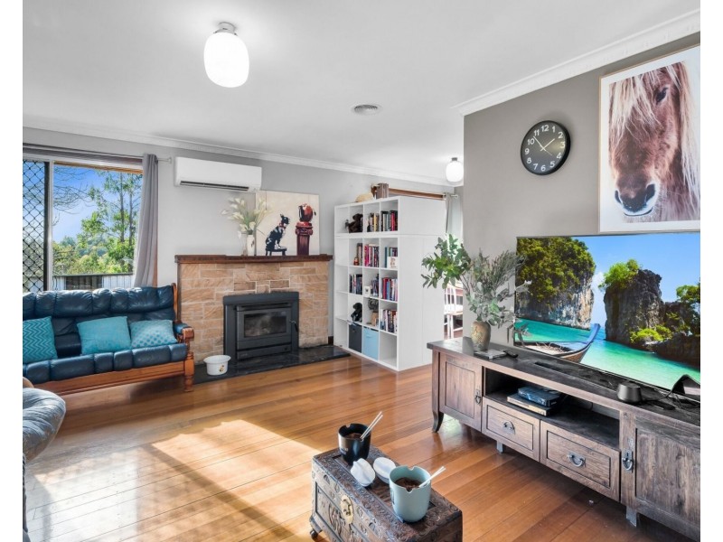 520 Bradys Plain Road, Parkham TAS 7304