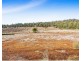 520 Bradys Plain Road, Parkham TAS 7304