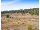 520 Bradys Plain Road, Parkham TAS 7304
