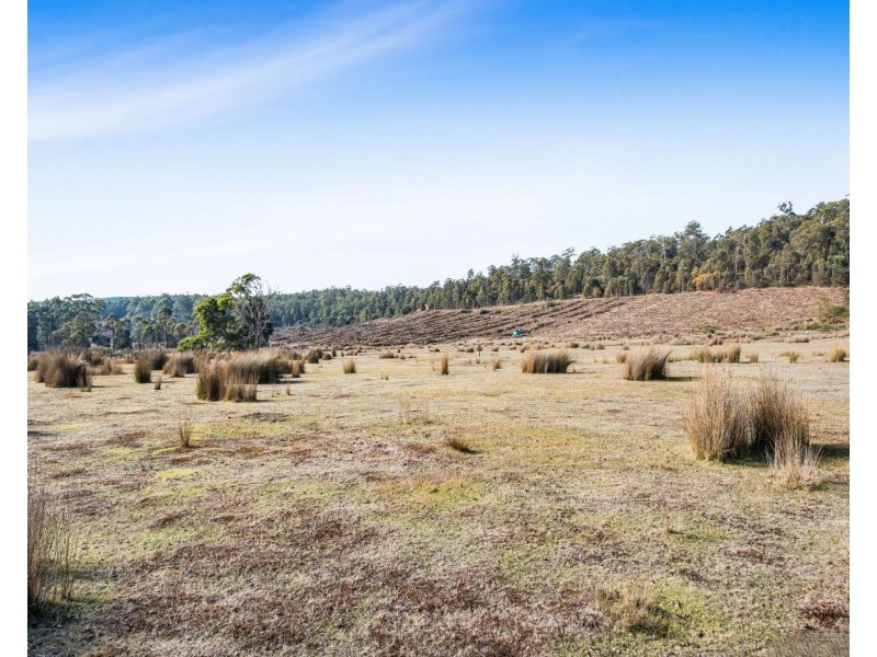 520 Bradys Plain Road, Parkham TAS 7304