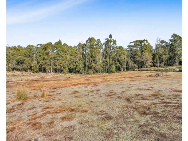 520 Bradys Plain Road, Parkham TAS 7304