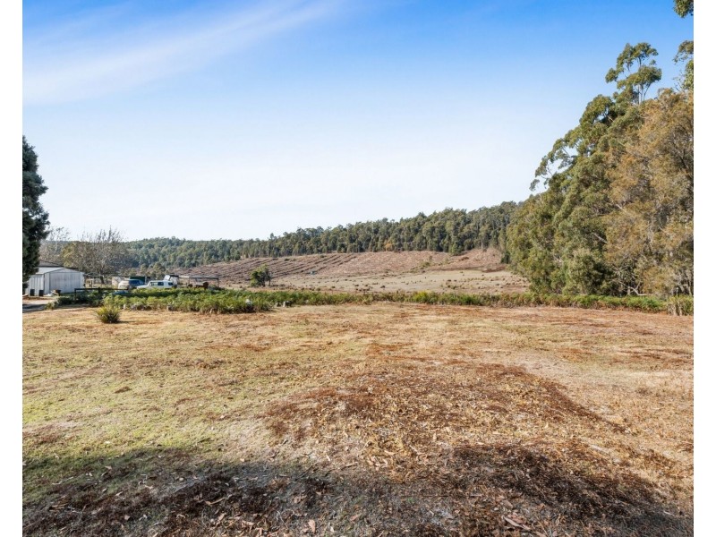 520 Bradys Plain Road, Parkham TAS 7304