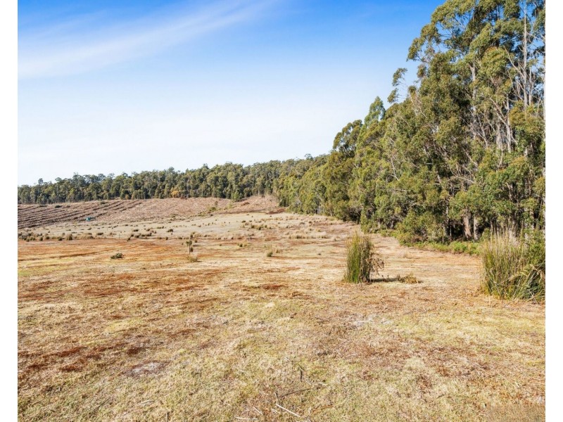 520 Bradys Plain Road, Parkham TAS 7304