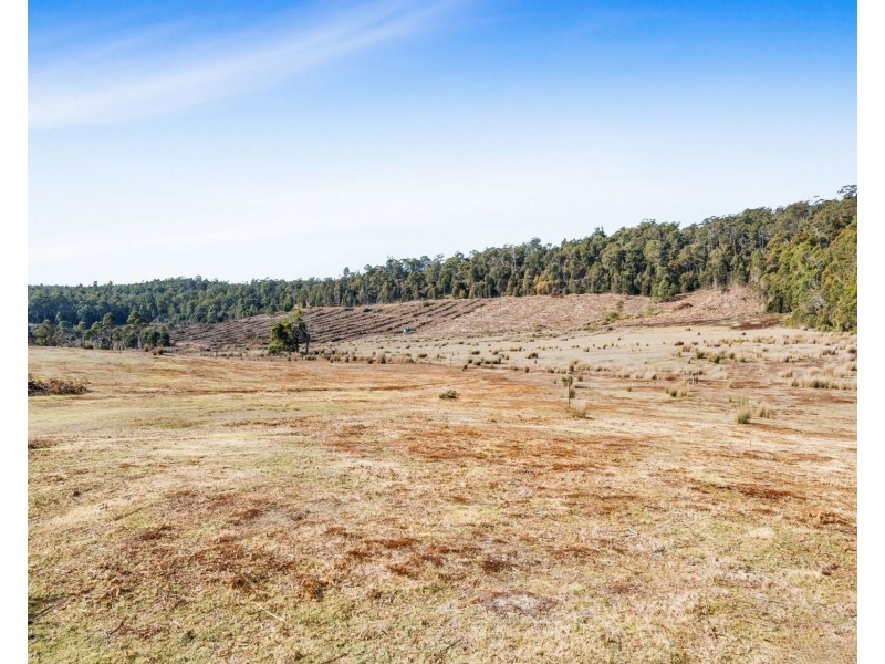 520 Bradys Plain Road, Parkham TAS 7304