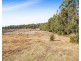 520 Bradys Plain Road, Parkham TAS 7304