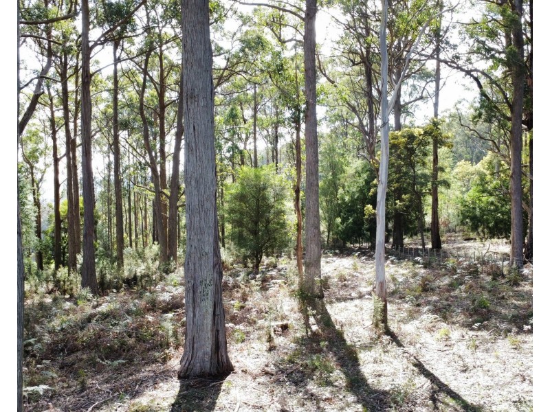 18 Prout Street, Elizabeth Town TAS 7304