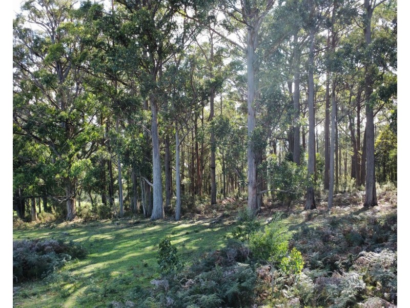 18 Prout Street, Elizabeth Town TAS 7304