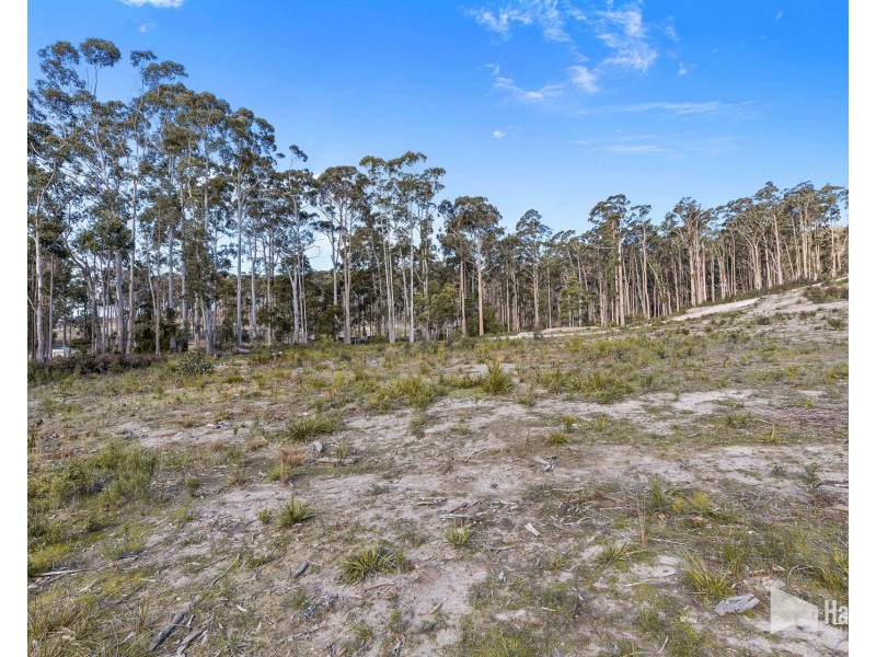 1B Forest Heights Drive, Tugrah TAS 7310