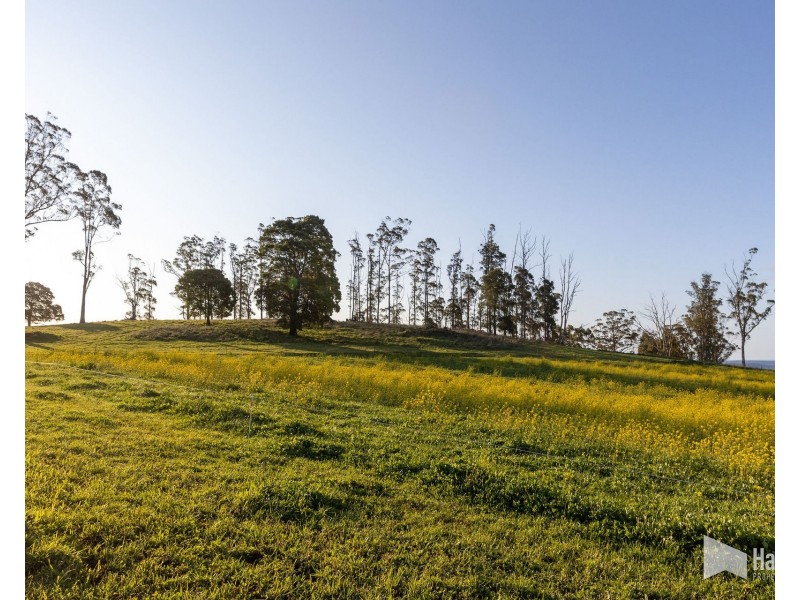 Maloneys Road, Sunnyside TAS 7305