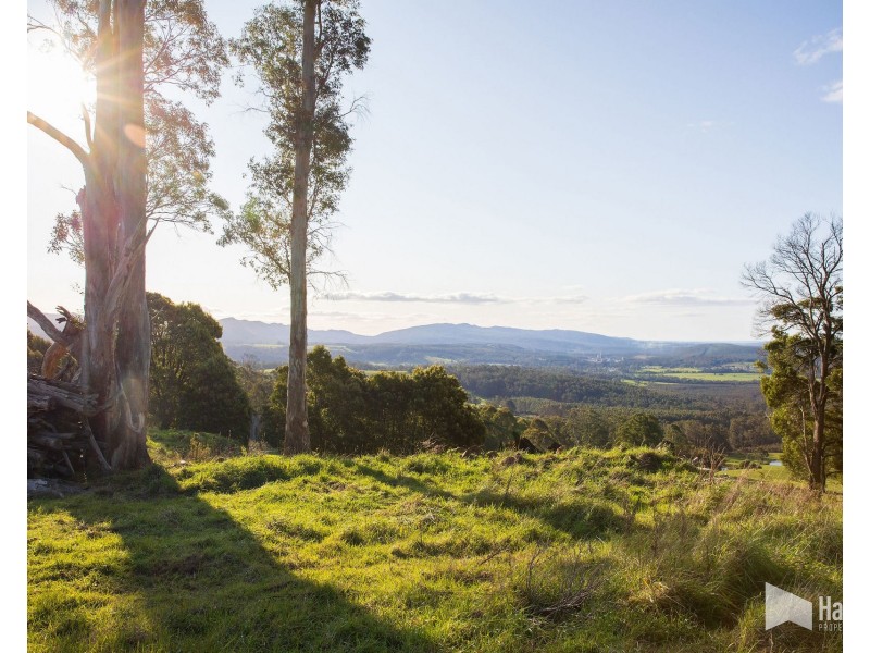 Maloneys Road, Sunnyside TAS 7305