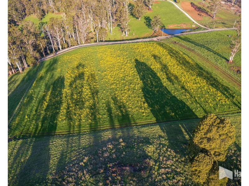 Maloneys Road, Sunnyside TAS 7305
