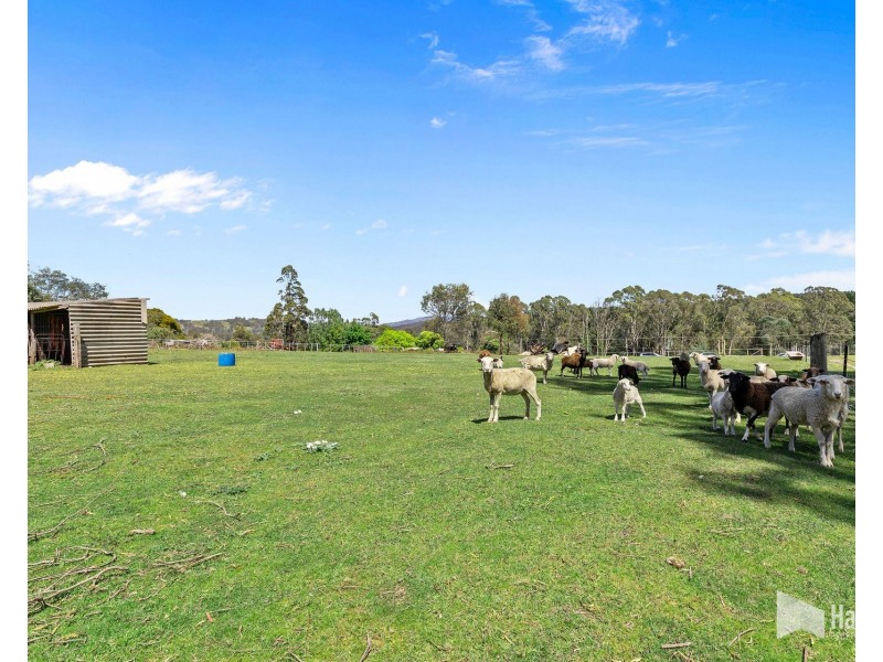 62 Latrobe Road, Railton TAS 7305