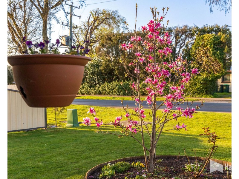 130a Main Street, Sheffield TAS 7306