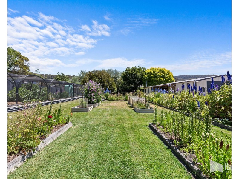 36 Sheffield Road, Spreyton TAS 7310