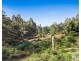968 Ironcliffe Road, Penguin TAS 7316