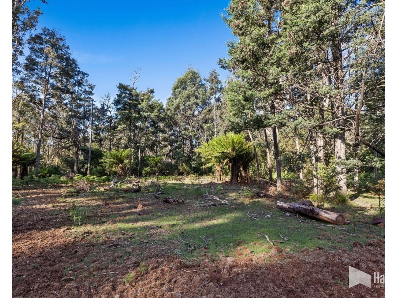968 Ironcliffe Road, Penguin TAS 7316