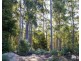 968 Ironcliffe Road, Penguin TAS 7316