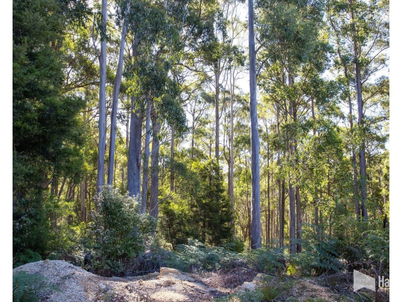 968 Ironcliffe Road, Penguin TAS 7316