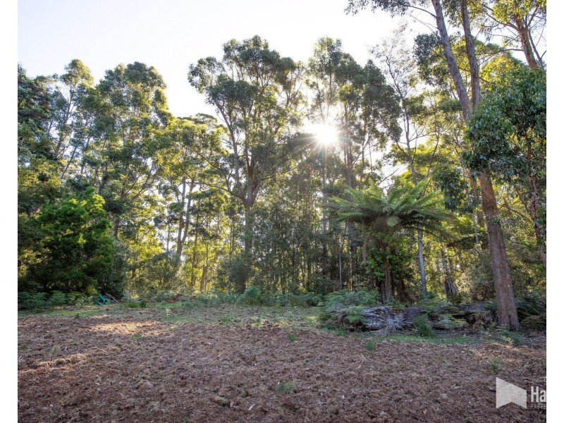 968 Ironcliffe Road, Penguin TAS 7316