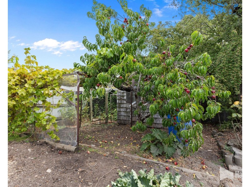 194 Sheffield Road, Spreyton TAS 7310