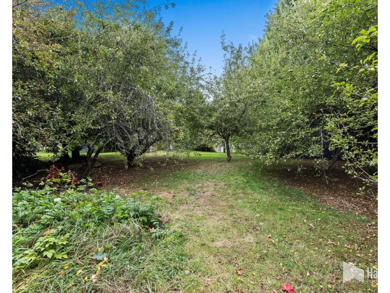 41 Main Street, Wilmot TAS 7310