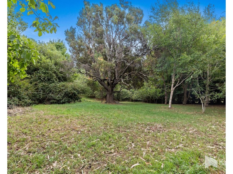 41 Main Street, Wilmot TAS 7310