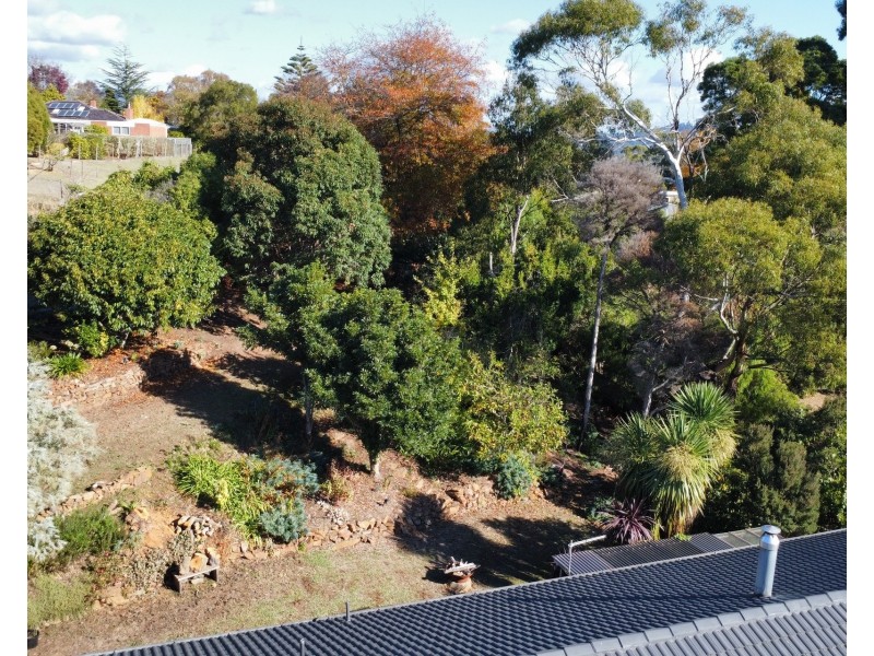 10 Highfield Road, Ambleside TAS 7310