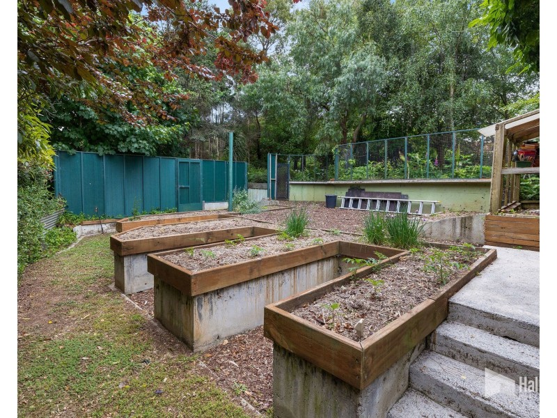 3 Curtis Place, Ambleside TAS 7310