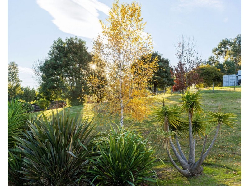 80 Cornwall Road, Acacia Hills TAS 7306