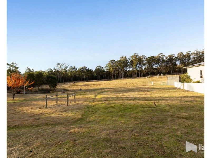 93 Shaw Street, Latrobe TAS 7307