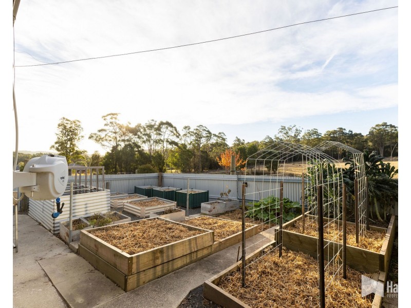 93 Shaw Street, Latrobe TAS 7307