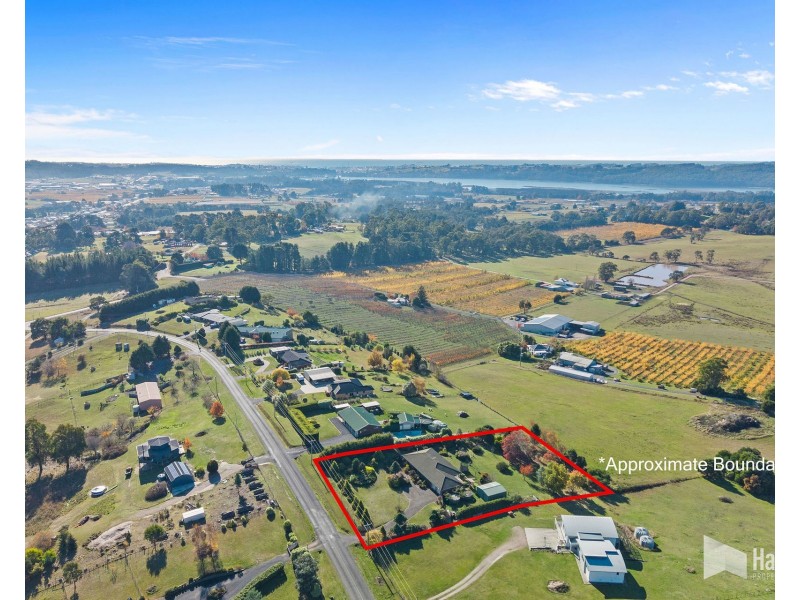 41 Grandview Drive, South Spreyton TAS 7310