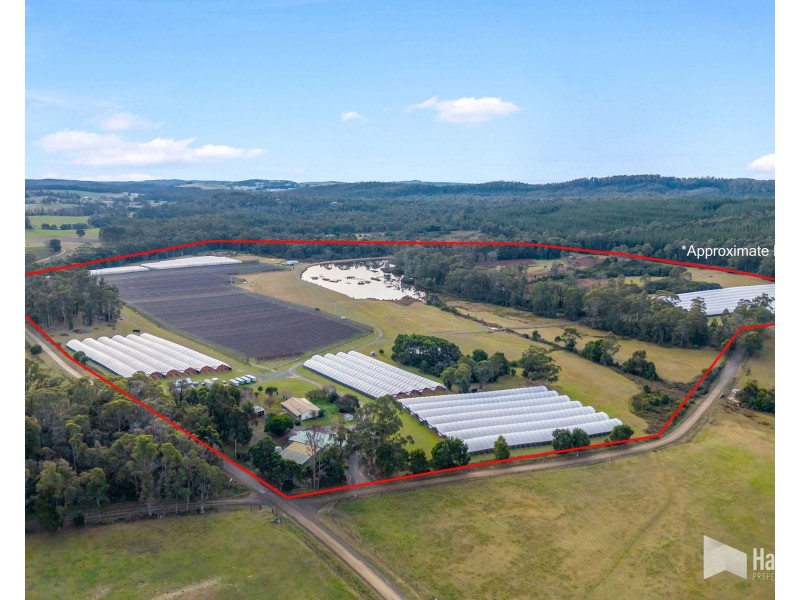 46 Short Cut Road, Lebrina TAS 7254