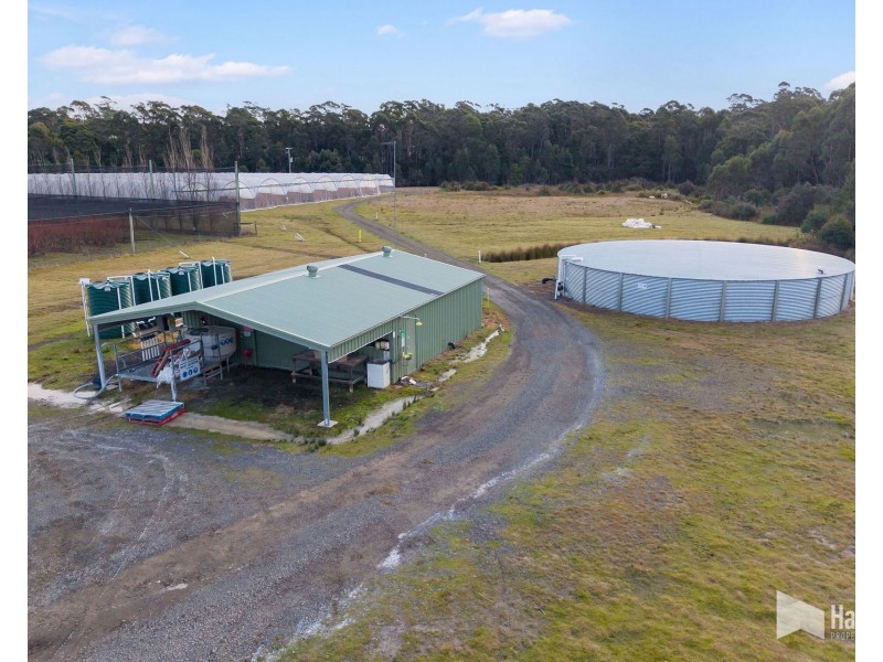 46 Short Cut Road, Lebrina TAS 7254