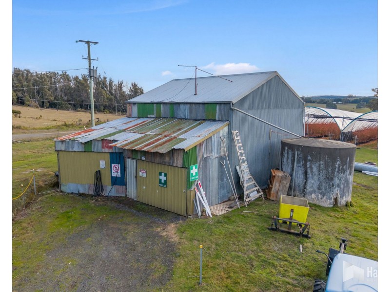 46 Short Cut Road, Lebrina TAS 7254