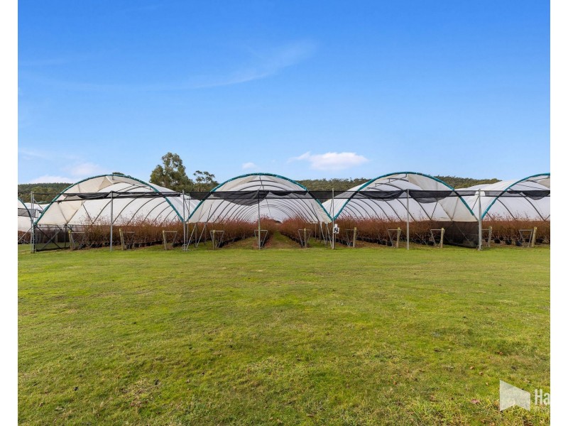 46 Short Cut Road, Lebrina TAS 7254