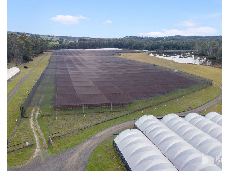 46 Short Cut Road, Lebrina TAS 7254