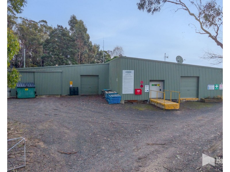 46 Short Cut Road, Lebrina TAS 7254