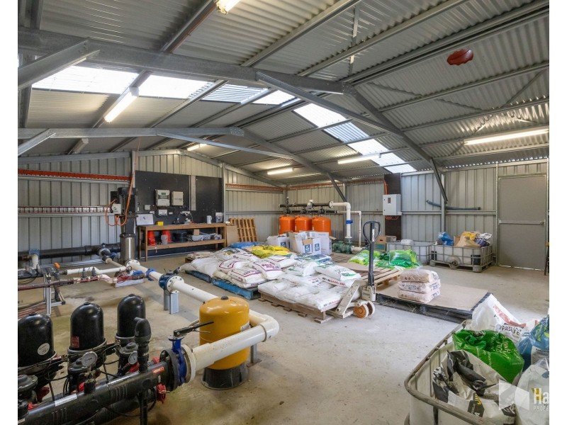 46 Short Cut Road, Lebrina TAS 7254