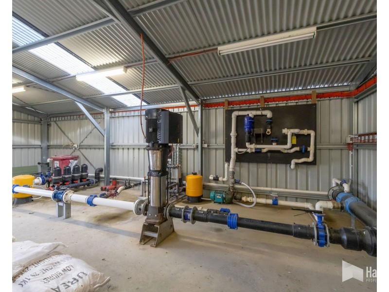 46 Short Cut Road, Lebrina TAS 7254