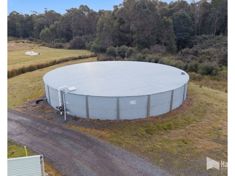 46 Short Cut Road, Lebrina TAS 7254