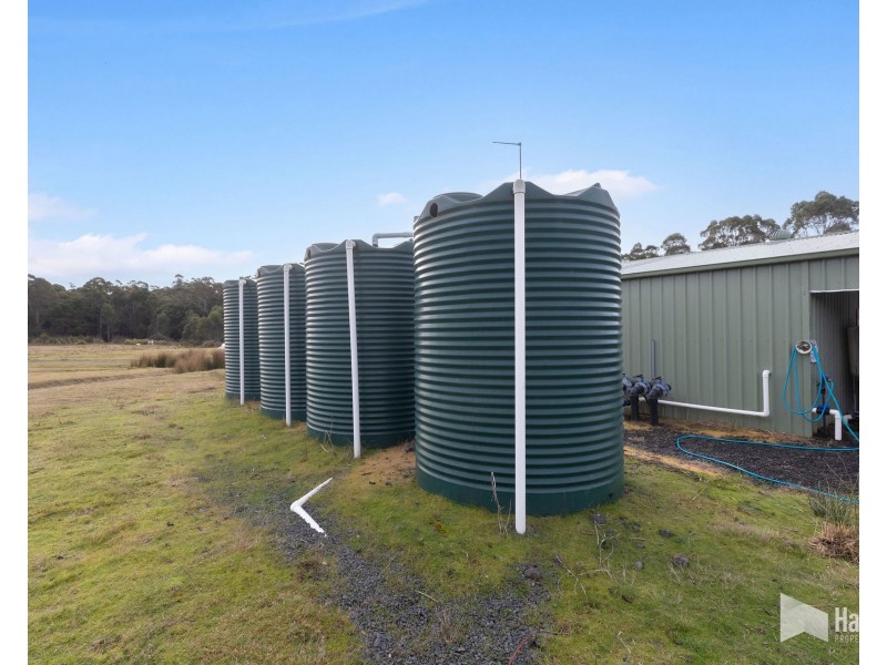 46 Short Cut Road, Lebrina TAS 7254