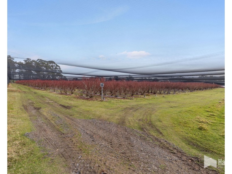 46 Short Cut Road, Lebrina TAS 7254