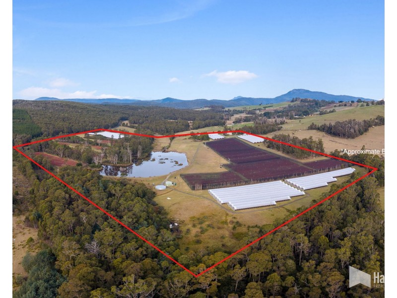 46 Short Cut Road, Lebrina TAS 7254