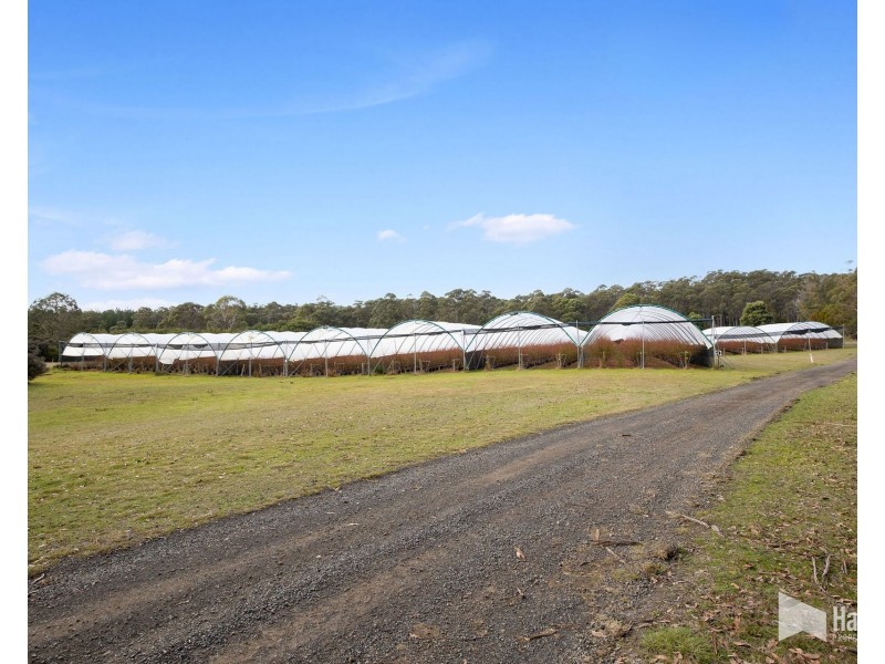 46 Short Cut Road, Lebrina TAS 7254